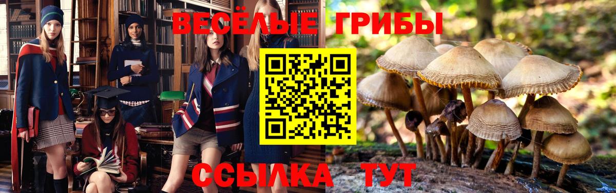 Псилоцибиновые грибы мицелий  Вход с VPN  Холмск 